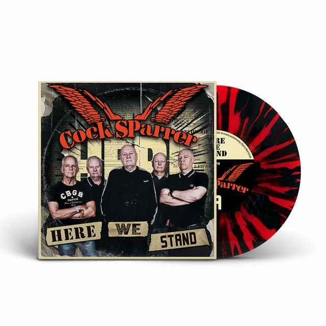 VINYL RECORDS | Culture Skateshop